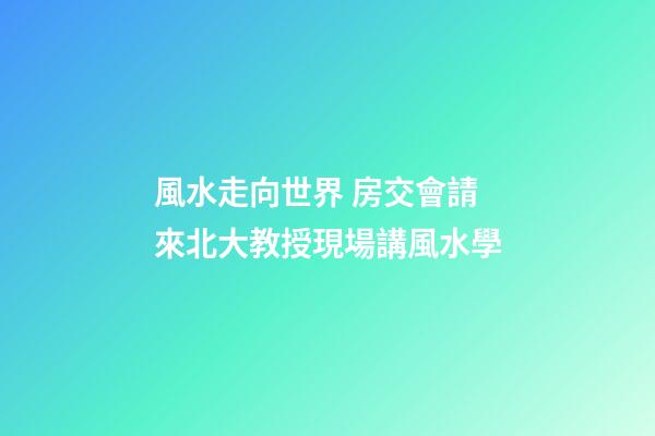 風水走向世界 房交會請來北大教授現場講風水學
